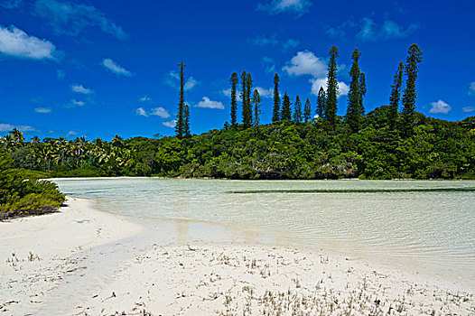 湾,新喀里多尼亚,美拉尼西亚,南太平洋