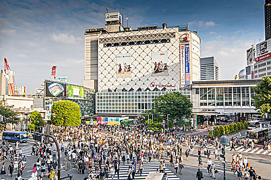 风景,涩谷,一个,人行横道,世界,东京,日本