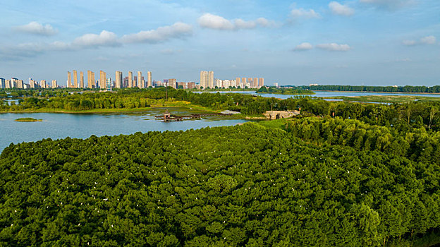 东海县西双湖风景区夏日湿地美