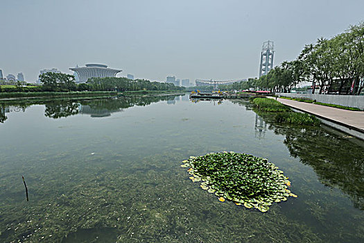 北京市朝阳区北辰东路城市建设奥林匹克中心,鸟巢