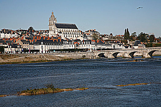 法国,布卢瓦,大教堂,城市,卢瓦尔河