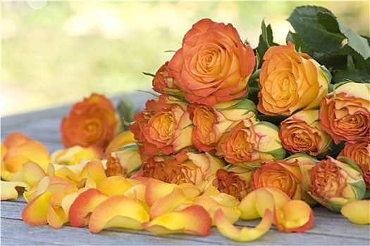 漂亮,橙色,玫瑰,花瓣,桌子