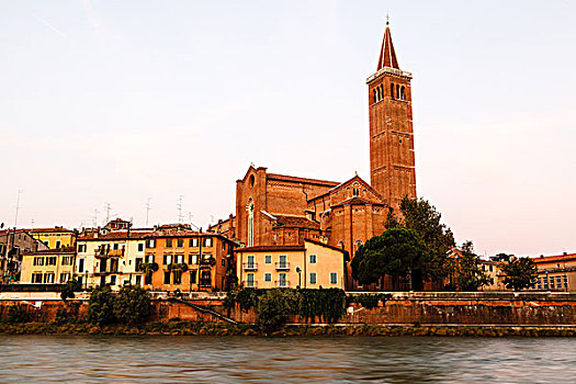 钟楼,圣徒,维罗纳,早晨,威尼托,意大利