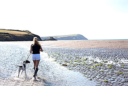 女人,遛狗,海滩,威尔士,英国