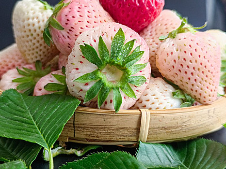 草莓,高清草莓