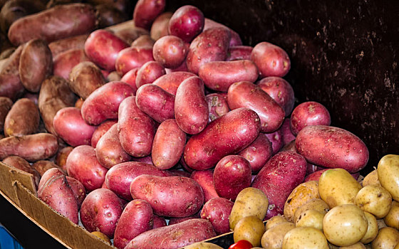 甘薯,新土豆,农民,市场