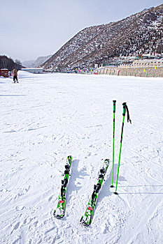 滑雪板,手杖,滑雪场