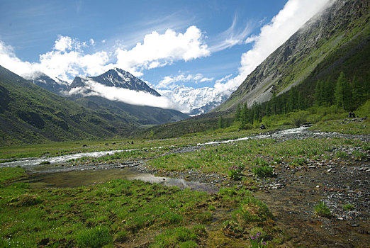 山,河,水流,峡谷,石头,岩石,陆地,靠近,漂亮,山景