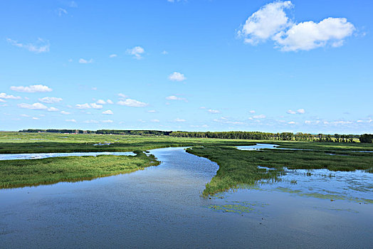 雁窝岛湿地