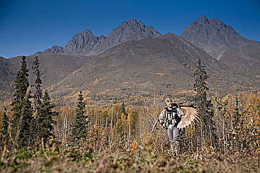 男性,猎捕,驼鹿,鹿角,架子,背包,远足,室外,区域,湖,楚加奇州立公园,阿拉斯加,秋天