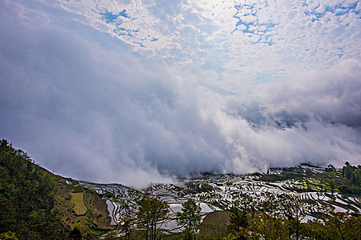 云南元阳梯田雾景