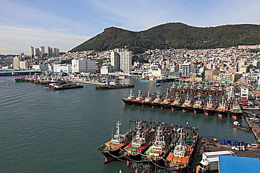 韩国,釜山,港口,渔船,全视图