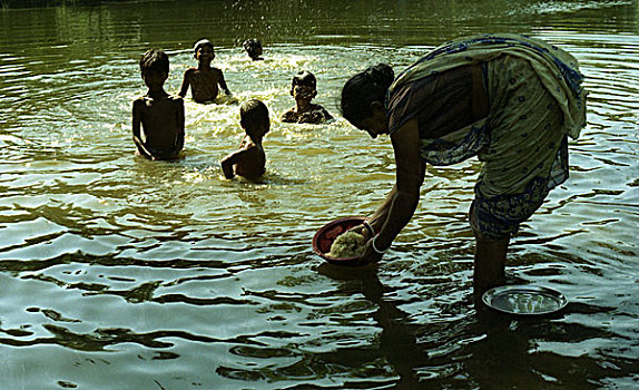乡村,女人,洗,稻米,水塘,孟加拉,2006年