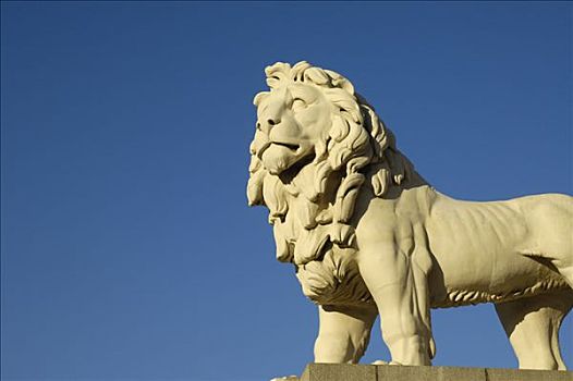 狮子,雕塑,伦敦,英格兰