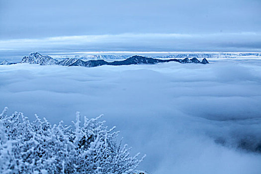 牛背山-雪原