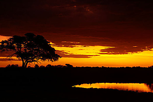 水坑,日落,埃托沙国家公园,纳米比亚,非洲
