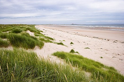 海滩,背影,沙,林第斯法恩岛,诺森伯兰郡,英格兰