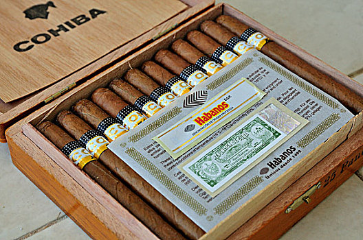 高斯巴雪茄,雪茄,证书,正宗,烟草,商务,哈瓦那,古巴,加勒比