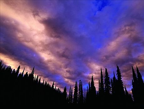 黎明,山,国家公园,不列颠哥伦比亚省,加拿大