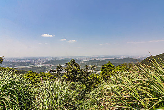 深圳梧桐山远眺