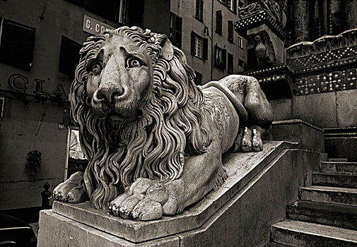 雕塑,狮子,教堂,热那亚,罗马,意大利,欧洲