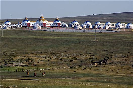 中国,草地,马,游牧,蒙古包,帐篷,远景