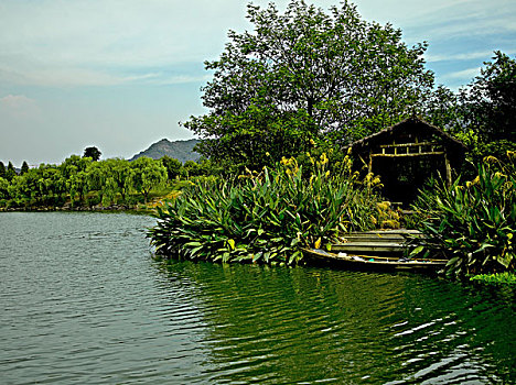 杭州西溪湿地