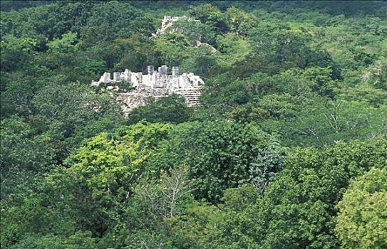 墨西哥,尤卡坦半岛,奇琴伊察,庙宇,树林