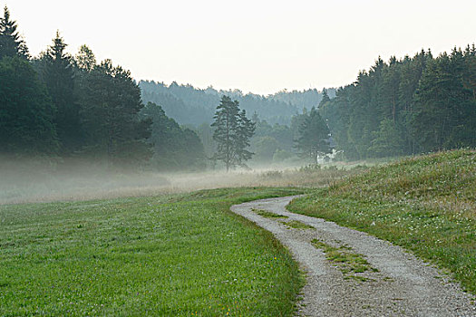 风景,小路,山谷,早晨,巴伐利亚,德国