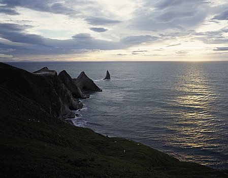 日落,上方,海洋,岬角,北岛,新西兰