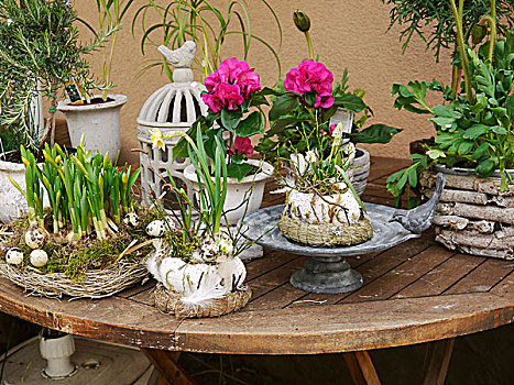 春季插花,木桌子,户外