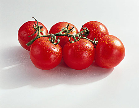 西红柿,番茄,品种,抠像,水滴,食物,单独