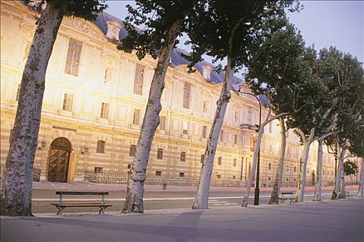 法国,巴黎,卢浮宫,悬铃木