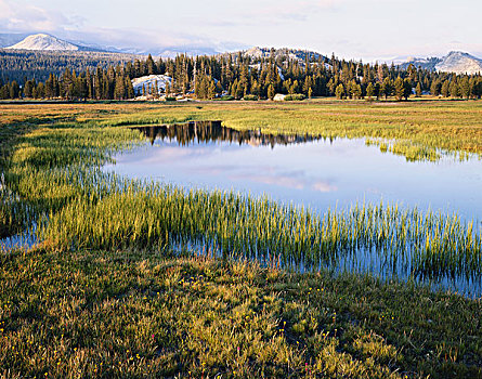 加利福尼亚,内华达山脉,优胜美地国家公园,河,小,湖,春天,径流,草地,大幅,尺寸