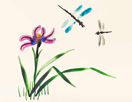 两个,蜻蜓,上方,鸢尾,花,牧场