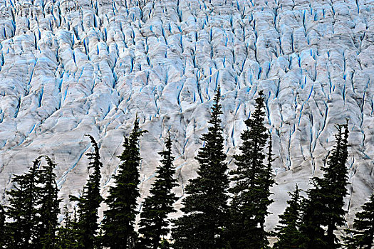 特写,图像,缝隙,蓝色,脊,表面,冰河,靠近,不列颠哥伦比亚省,加拿大