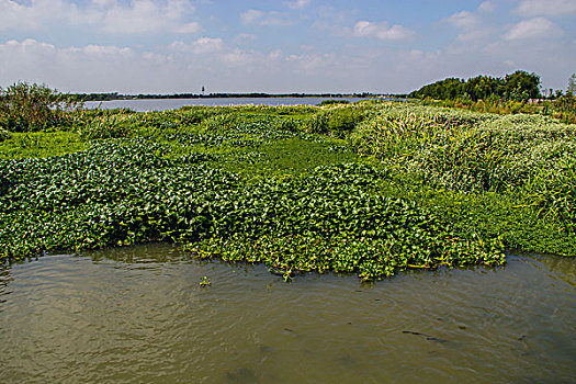 青西生态湿地公园