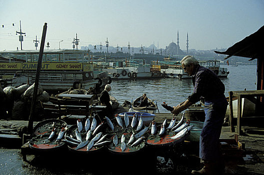 土耳其,伊斯坦布尔,捕鱼者,鲜鱼