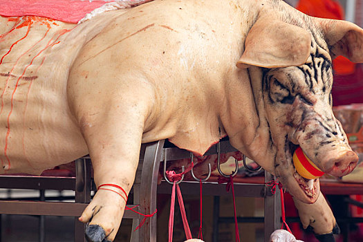 中国鬼节中元普渡信众用大神猪祭祀鬼神