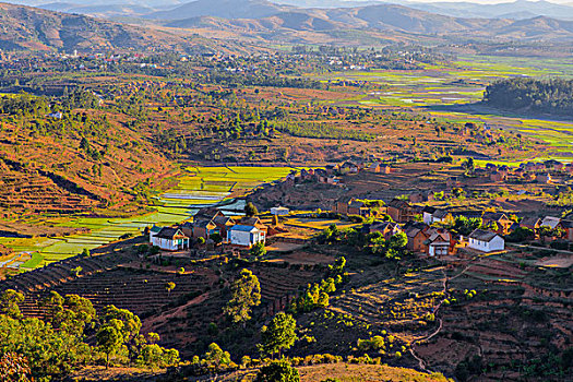 madagascar马达加斯加乡村田野风景