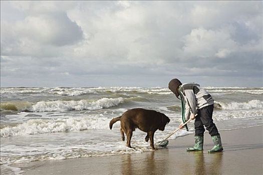男孩,海洋,狗