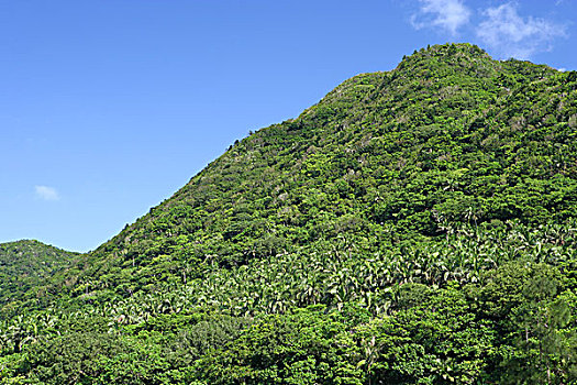 石垣岛,城市,冲绳