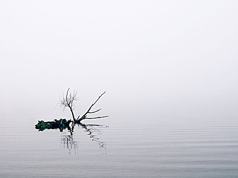 湖岸,秋天,雾