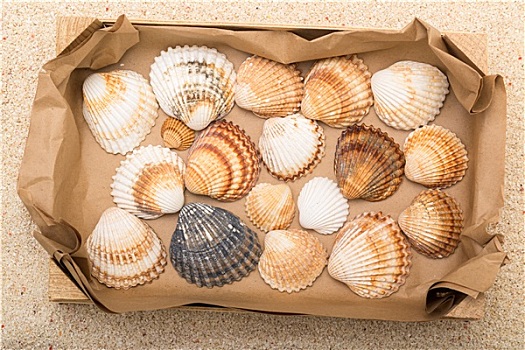 海螺壳,收件箱