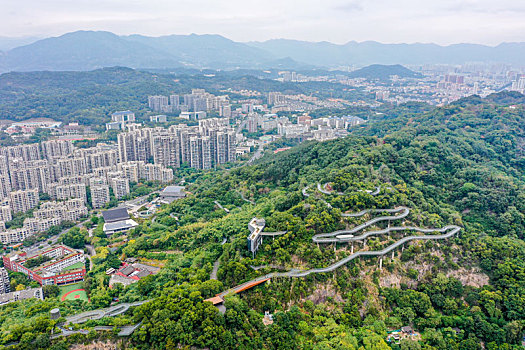 航拍福州福道,福州城市森林步道,金牛山公园西侧段