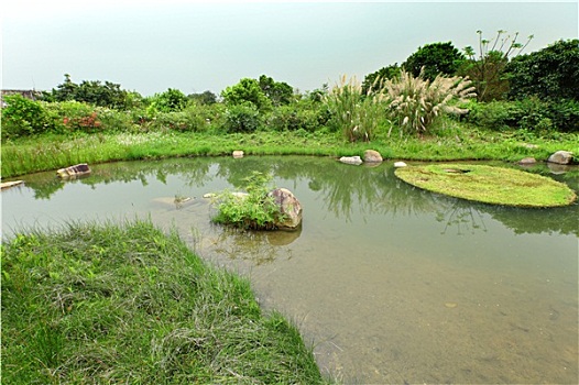 湿地