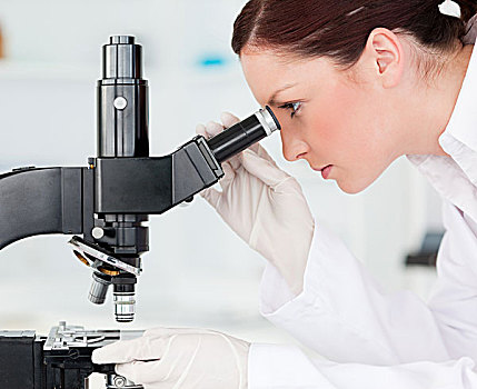 魅力,红发,科学家,看穿,显微镜