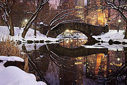 风景,桥,中央公园,曼哈顿,暴风雪,黄昏