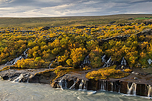瀑布,河,秋天,靠近,瑞考尔特,冰岛,欧洲