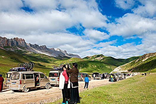 西藏,高山,草原,公路,野花,石山